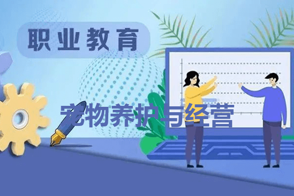 宠物养护与经营