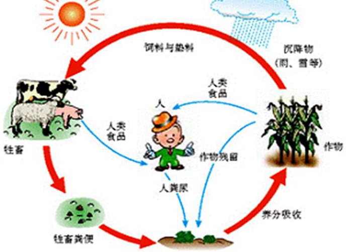 循环农业与再生资源利用