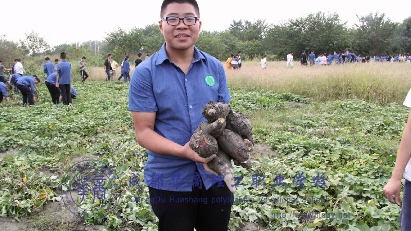 成都华商理工职业学校校园环境