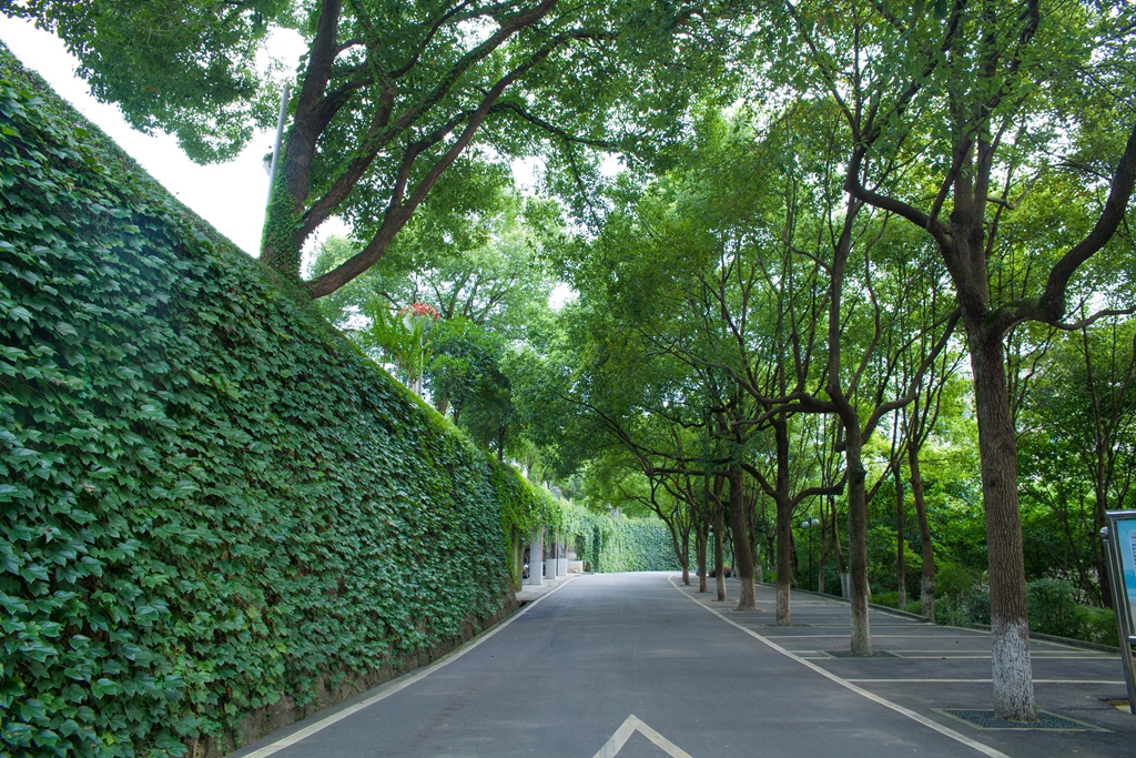 攀枝花市高级技工学校校园环境