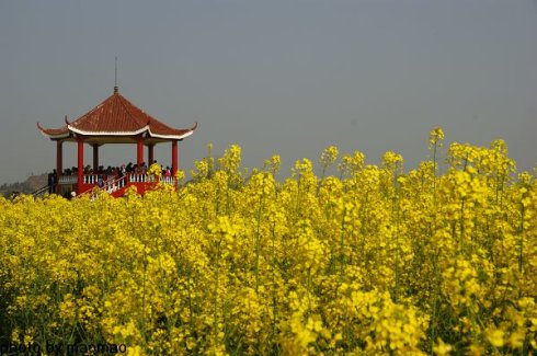 重庆市酉阳民族师范学校校园环境