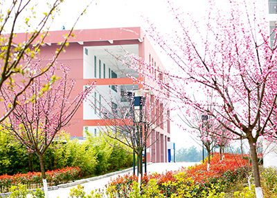 åå·å¹¼å¿å¸èé«ç­ä¸ç§å­¦æ ¡