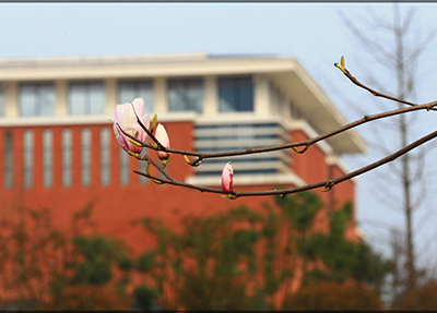 学校现有高新校区