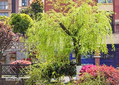 贵阳中医学院