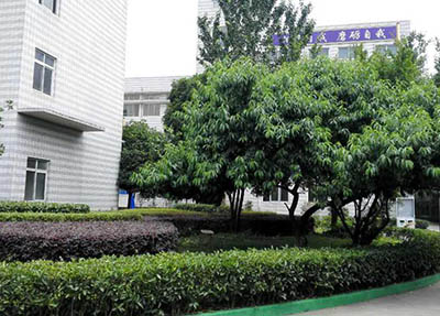 都江堰市技工学校