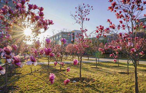 四川省泸州市江南职业中学校图片