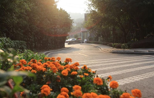 江油市职业中学校图片