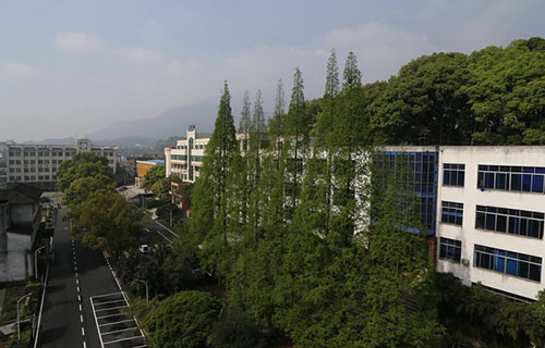 四川省食品药品学校图片