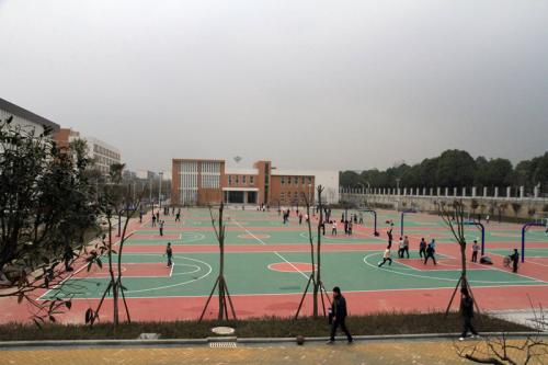 成都体育学院附属体育运动学校