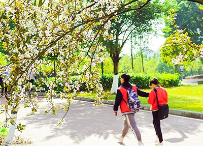 重庆机械电子技师学院