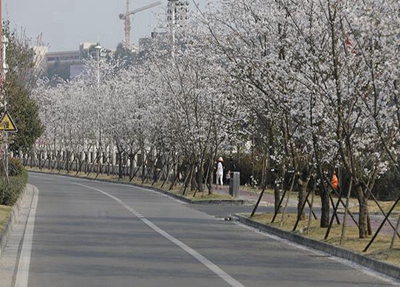 重庆五一技师学院