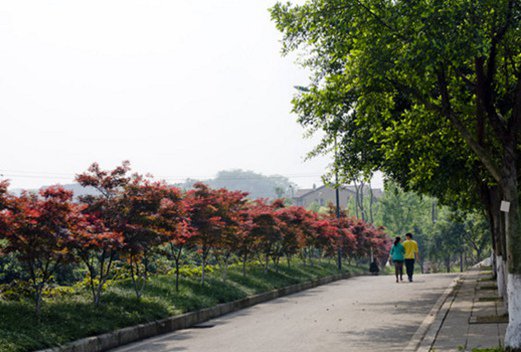 重庆电子工程职业学院汽车工程学院图片